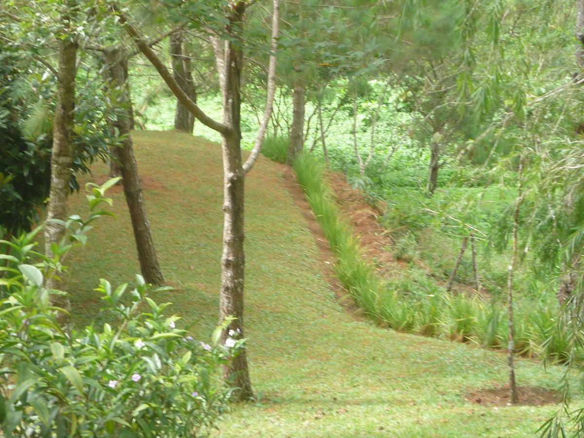 Hotel Casa Gaia Cobán 外观 照片